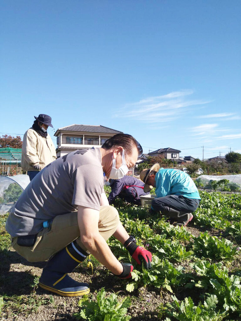 障がい者就労支援事業所で農作業の様子